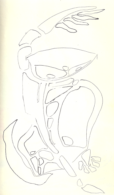 Bild4
